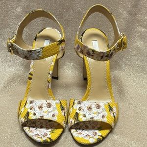 COPY - Dolce & Gabbana SPRING HEELS